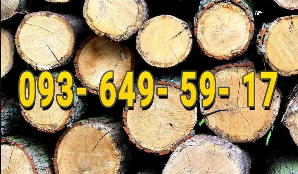 Дуб. Дрова. Дрова дубовые.