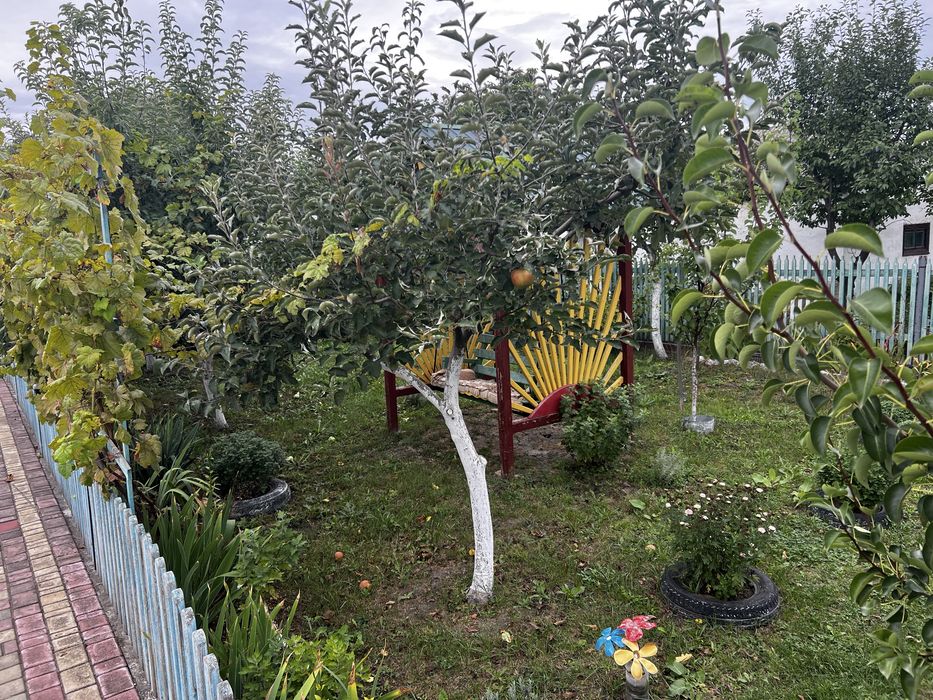 Будинок Криве Озеро