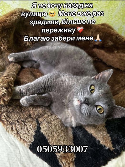 Часу пару днів на ПОШУК дому!