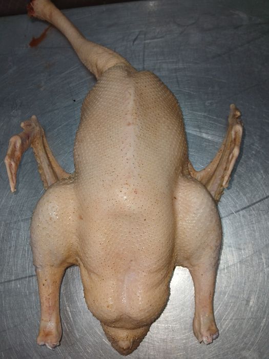 Kaczki gęsi brojlery tusze