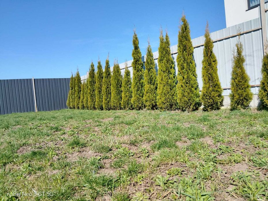 Надаємо послуги косіння трави та підготовки ділянки під забудову