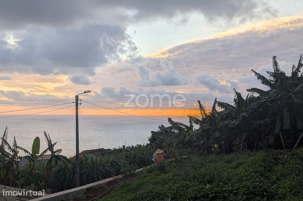 Terreno com Vista Mar e Grande Potencial de Construção | Canhas