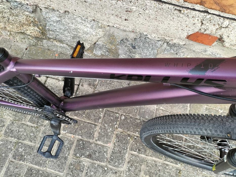 Kellys Whip 10 dirt 26 x 2.35 po serwisie