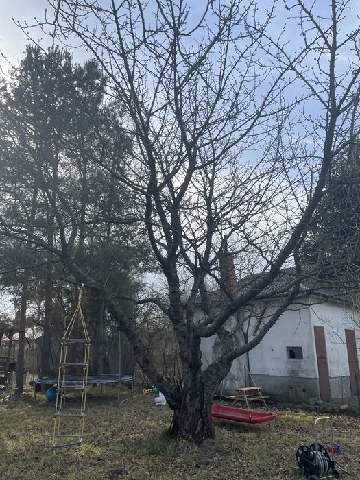 Działka ROD Lotnik ul. Strachowicka koło lotniska 350m