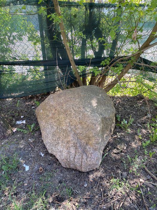 Oddam za darmo 8 głazów kamieni