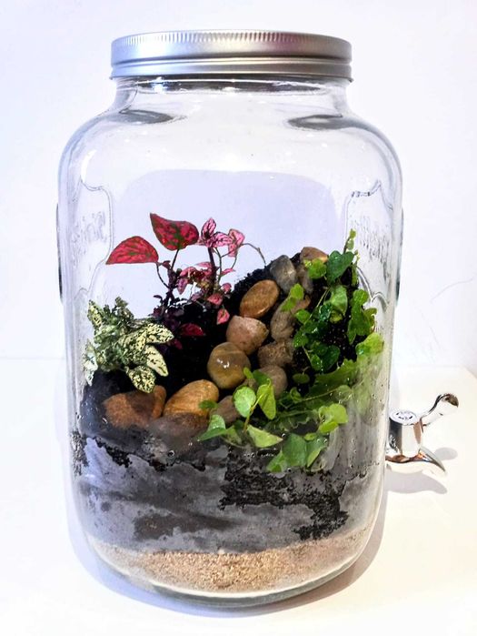 Ecossistema Decorativo