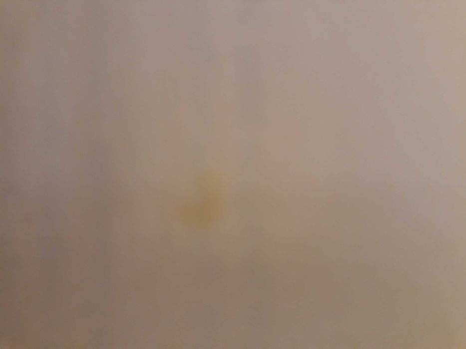 "Werdykt" Remigiusz Mróz