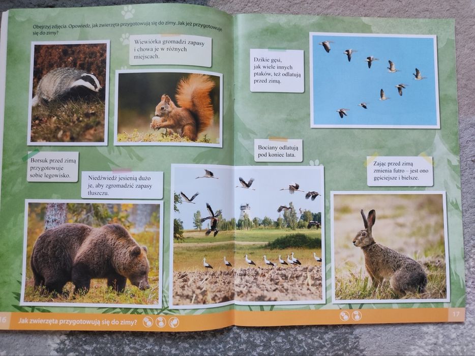 Książka Kolorowy start z plusem