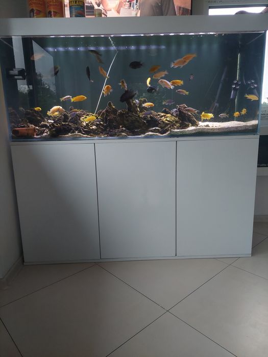 Akwarium opti white 450l