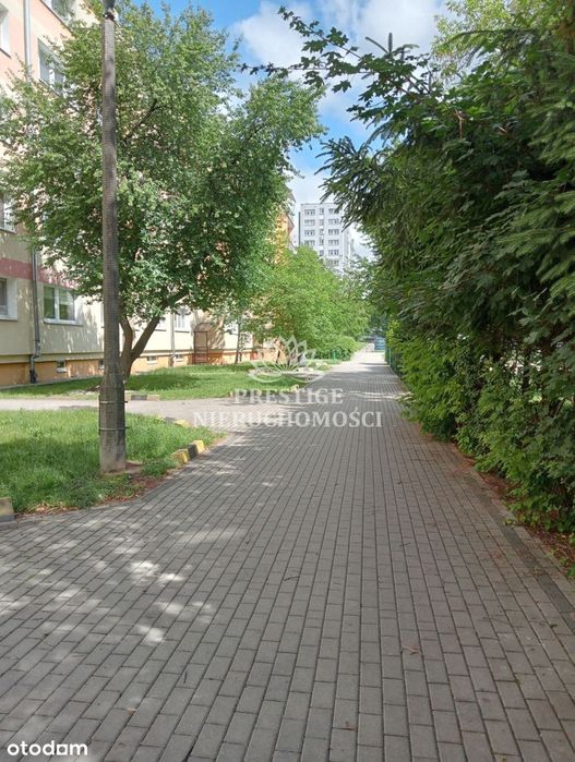 Bartodzieje Nowa Niższa Cena