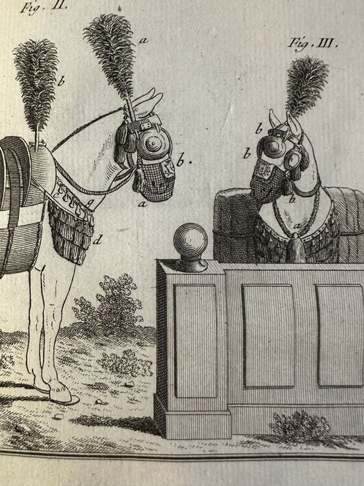 Starodruk z 1780 roku Zofii Potockiej