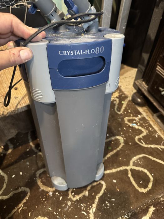 Aquario para peixes marinhos