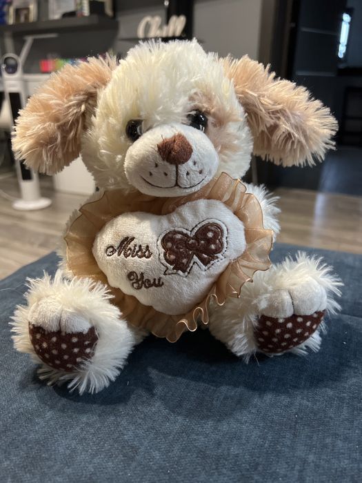 Misiek piesek z sercem