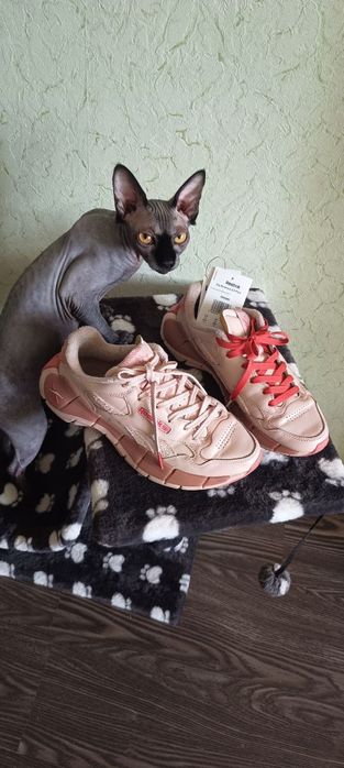 Reebok Zig kinetica 2,5 Plus