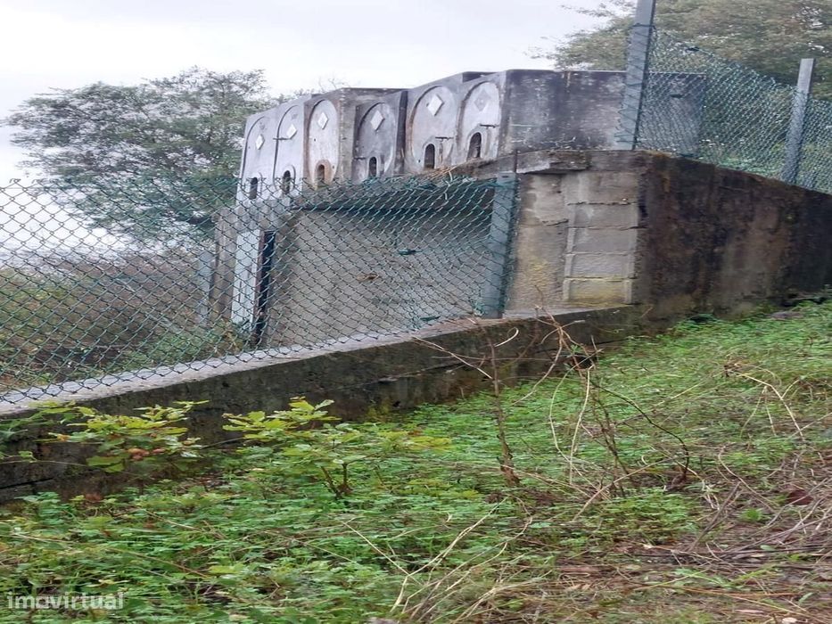 O Seu Refúgio de Sonho com Riacho e Olival a 15min de Torres Novas