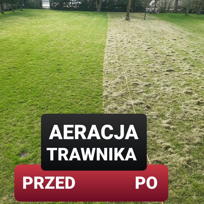 Chełm i okolice-Skracanie  Tuii, Koszenie trawy, wycinka drzew.