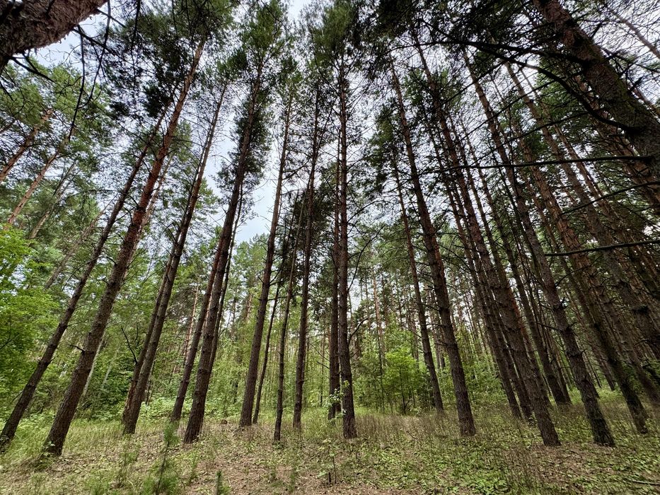 Продаж ділянки від 40 соток до 10Га. с. Ясногородка Киівська область