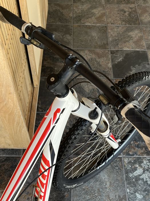 Specialized Roda 29