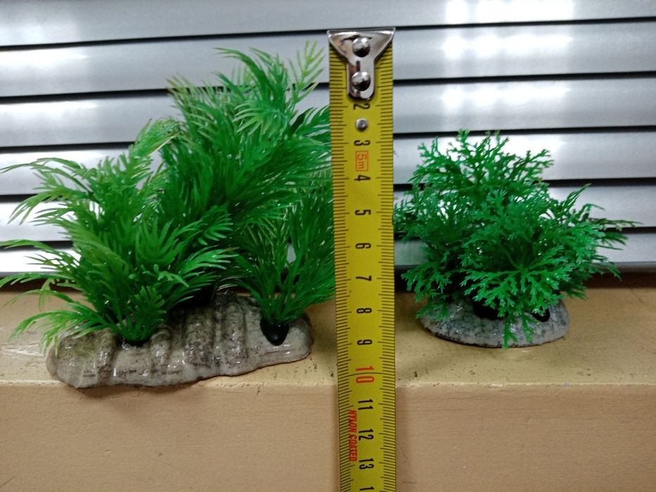 Декорації для акваріума. Рослини. Водорослі.