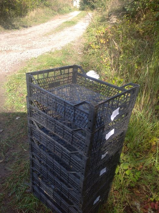 Продам ящик виноградний, стан хороший, незважаючи, на те що ящики б/в