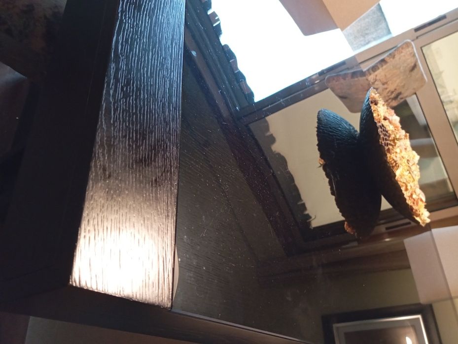 Mesa de sala em wengue (sem cadeiras)
