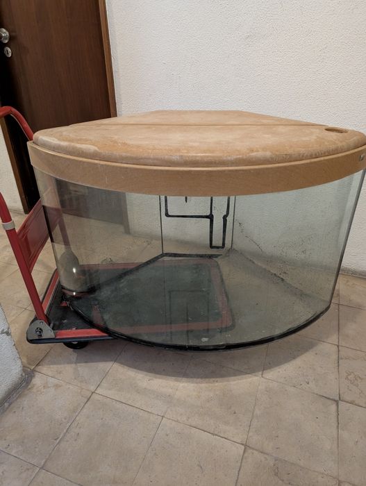 Aquário panorâmico 300L – completo com tampa