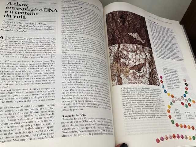 Os Grandes Acontecimentos do Século XX