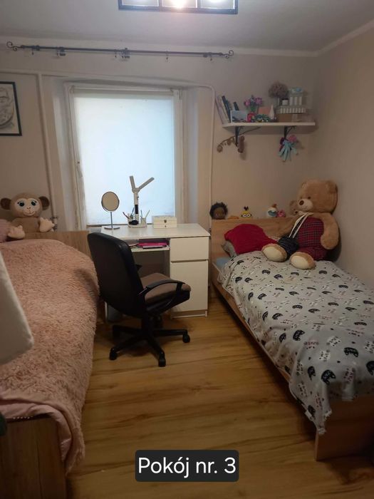 3 pokoje | 47,85 m² | parter | BEZCZYNSZOWE | własny teren | Barczewo