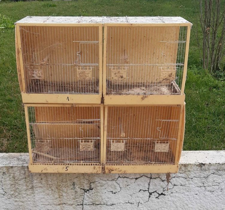 Lote de 10 gaiolas duplas ORNI-EX usadas em estado razoável