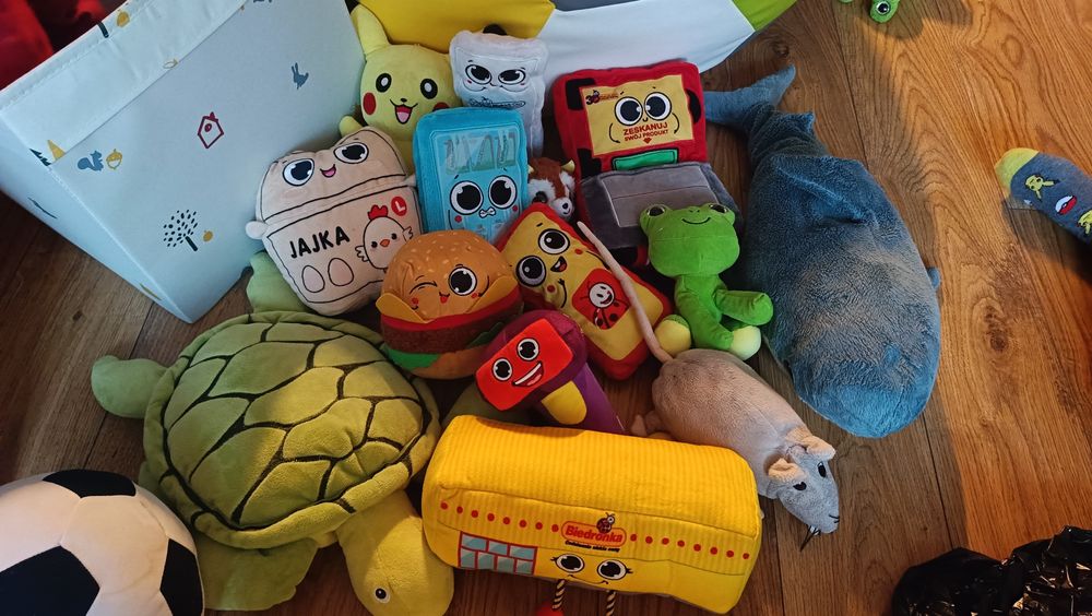 Pluszaki i biedroniaki