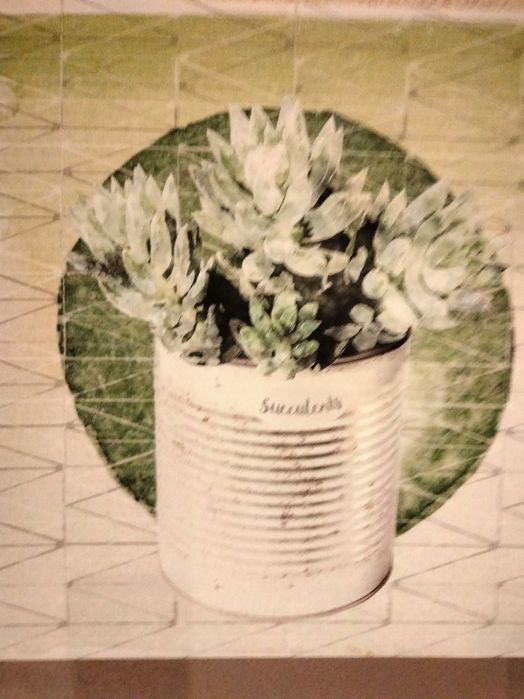 Telas de plantas e auculentas
