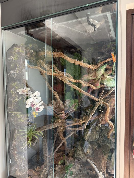 Zestaw terrarium