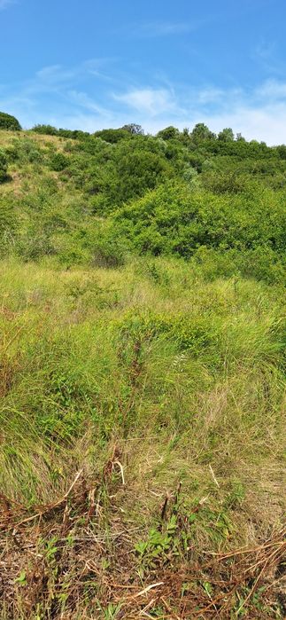 Terreno Rústico  junto Aldeia