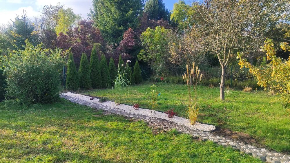 Działka ROD 300m2 Ogródki działkowe im. Tadeusza Kościuszki