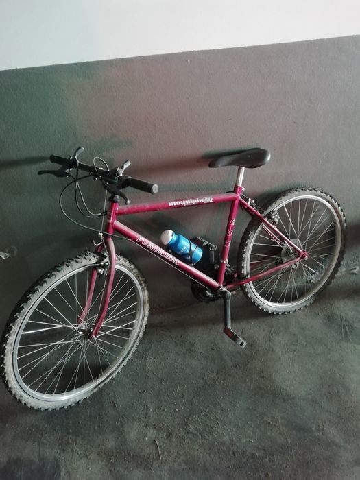 Bicicleta fundador