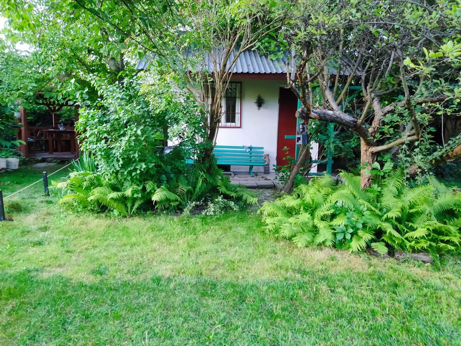 działka ROD Kraków Nowa Huta