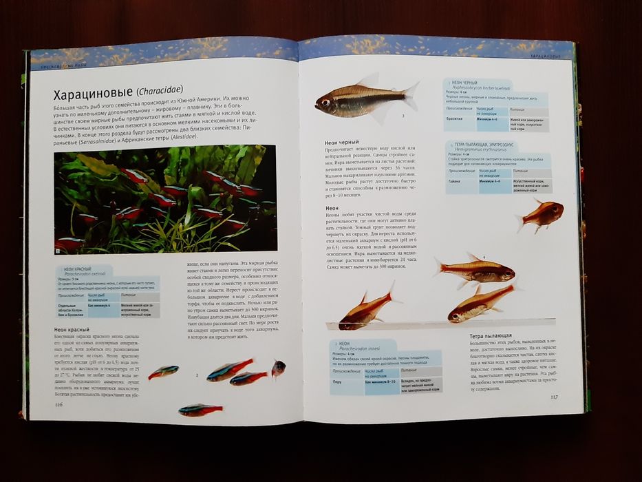 Большой путеводитель по аквариуму