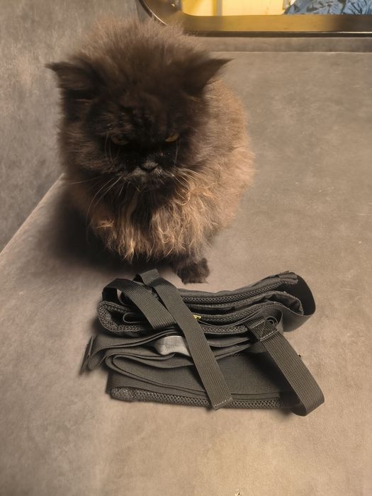 Система транспортування поранених Agilite IPC