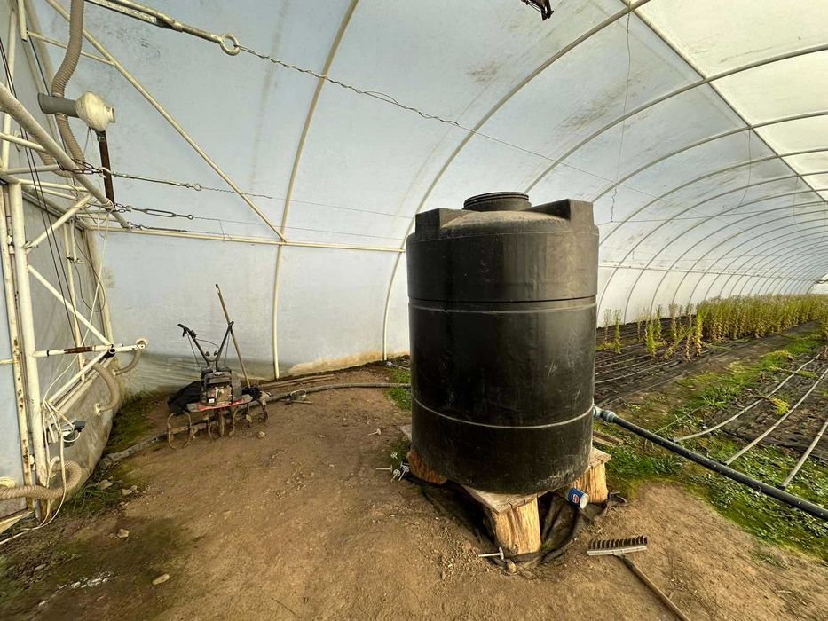 Перспективна ділянка з теплицями для успішного агробізнесу