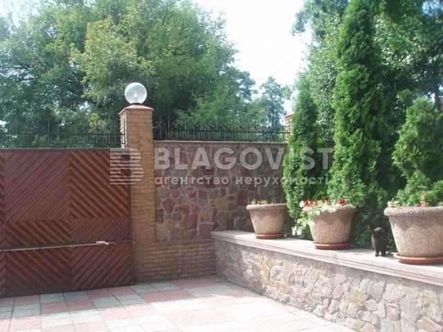 Продаж будинку Великі Дмитровичі, Обухівський район, 1га, без %