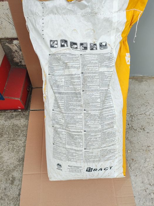 Насіння соняшника RAGT RGT WOLLF (РЖТ Волльф) Класичний Екстра плюс