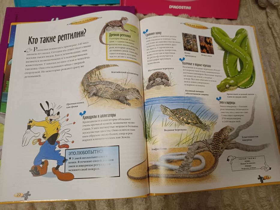 Комплект энциклопедий