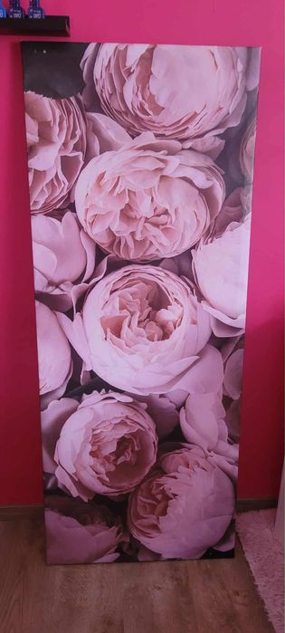 Obraz na płótnie  140x56