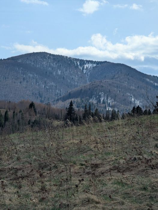 Земельна ділянка