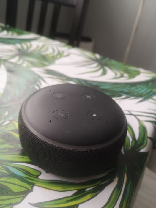 Alexa Amazon Echo dot