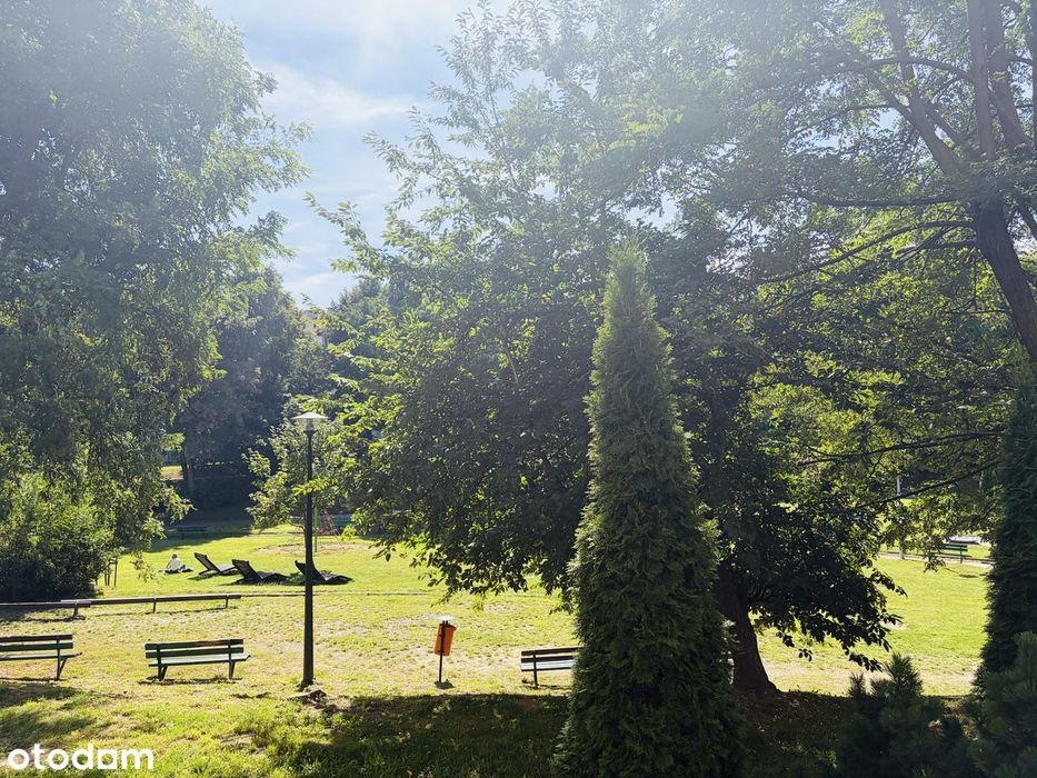 Mieszkanie 3-pokojowe na ul. Stolema z widokiem na park