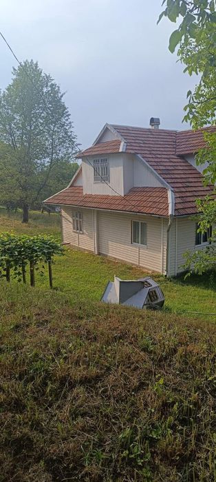 Будинок в  Карпатах