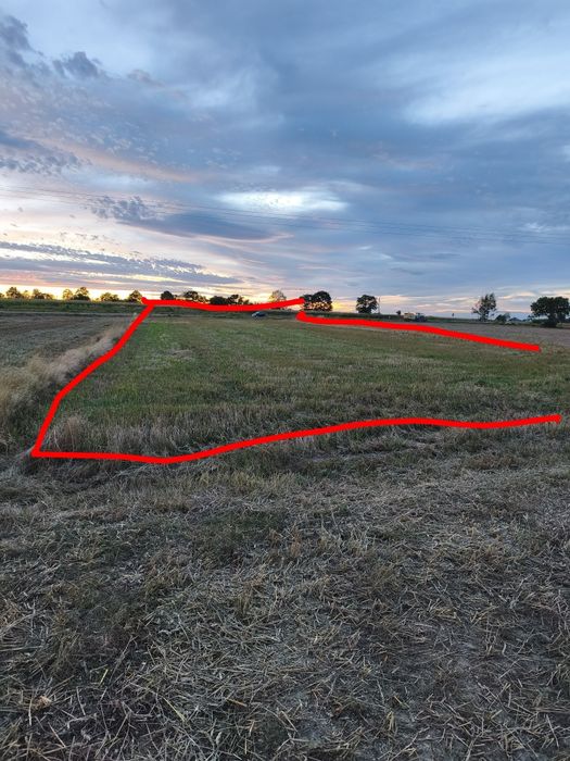 Działka rolna Ornontowice - Widok 2