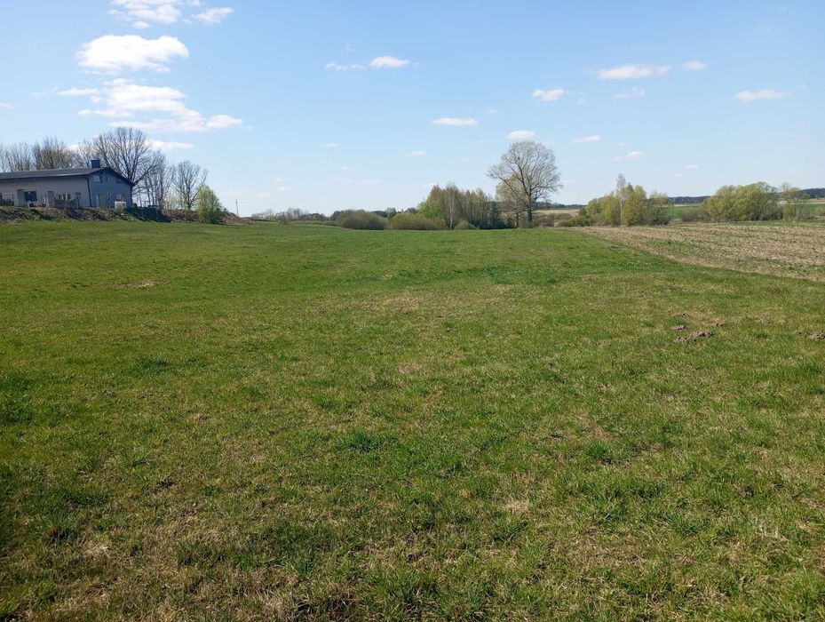 Działka z warunkami zabudowy 1.29 ha