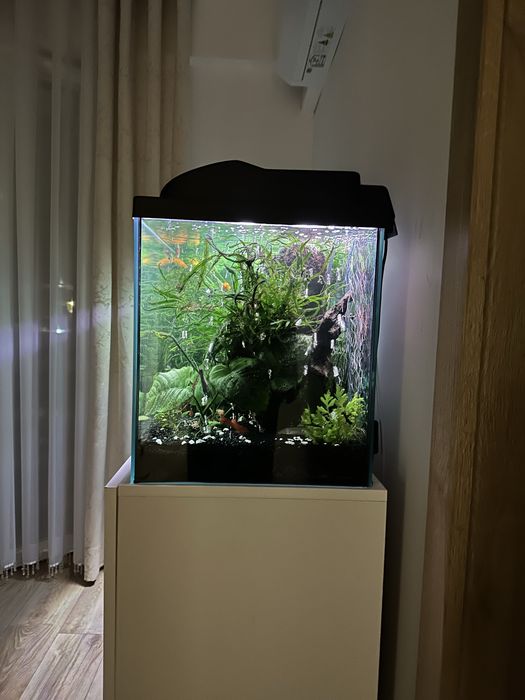 Akwarium 112 litrów